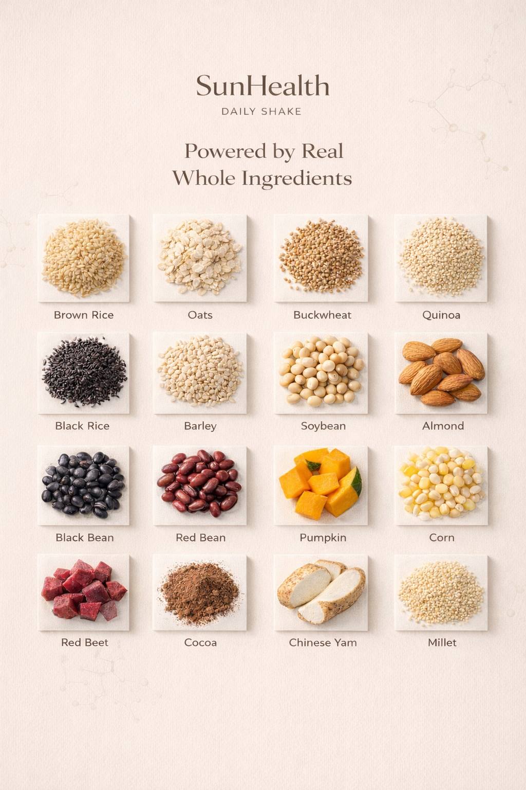 Sun Health -Commit to discipline - Image 12